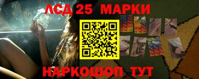прущие грибы Братск