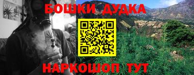 прущие грибы Братск