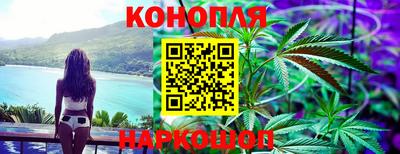 прущие грибы Братск
