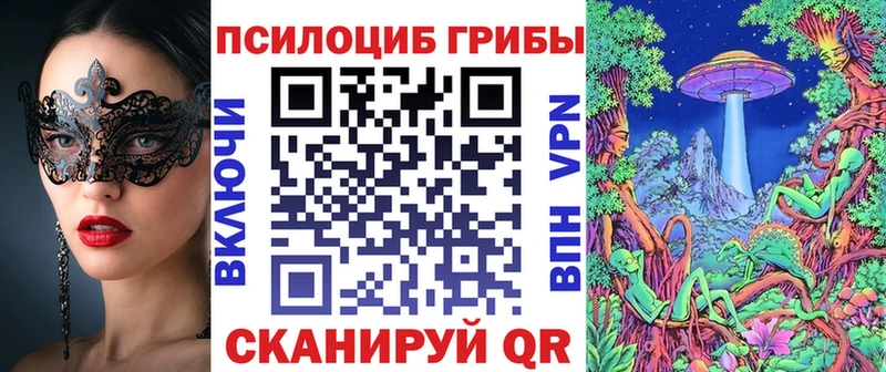 ОМГ ОМГ зеркало  Великий Устюг  это как зайти  Псилоцибиновые грибы Cubensis 