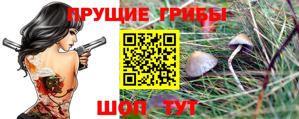 Великий Устюг  Псилоцибиновые грибы MAGIC MUSHROOMS  где найти   Вход с VPN 